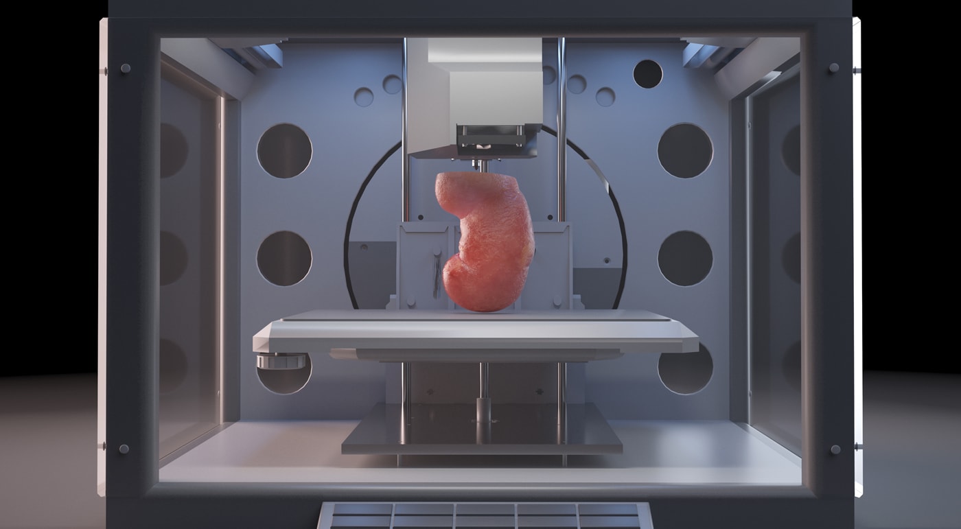 In fünf Jahren werden mit dem 3D-Biodrucker menschliche Organe