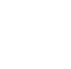 LinkedIn Logo