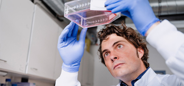Aktuelle Start-ups im IZB